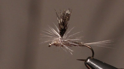 Ben Byng: Guinea Fowl Parachute