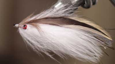 Doug McKnight: Home Invader