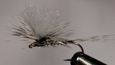 Dandy Reiner: Pink Lady