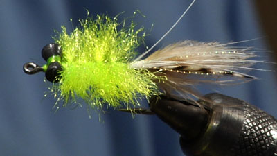 James Warren: Tasty Toad