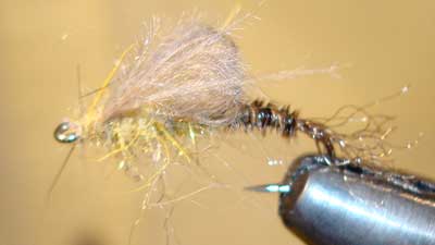 Wayne Luallen: CDC Emerger