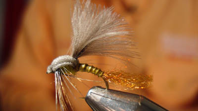 Chris Williams: CW's CDC & Foam Green Drake Emerger
