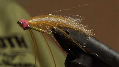 Dan Delekta: Delektable Boneyard