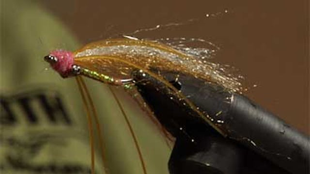 Dan Delekta: Delektable Boneyard