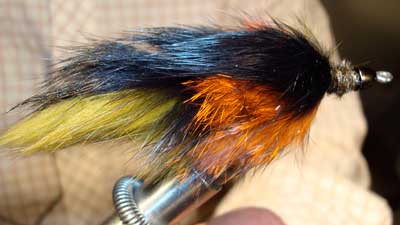 Boots Allen: Quad Bunny