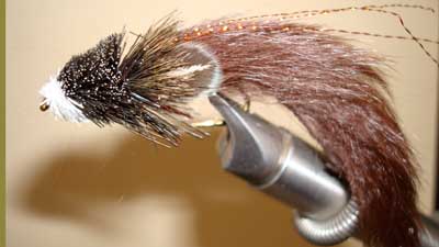 Dave McKee: Carp Pattern