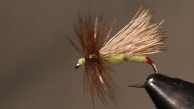 Jesse Riding: J's Hi-Tie Sally