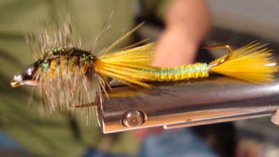 Brandon Tueller: Zig-Zag