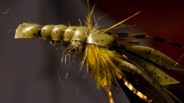 Willy Self: Willy's UV Cray