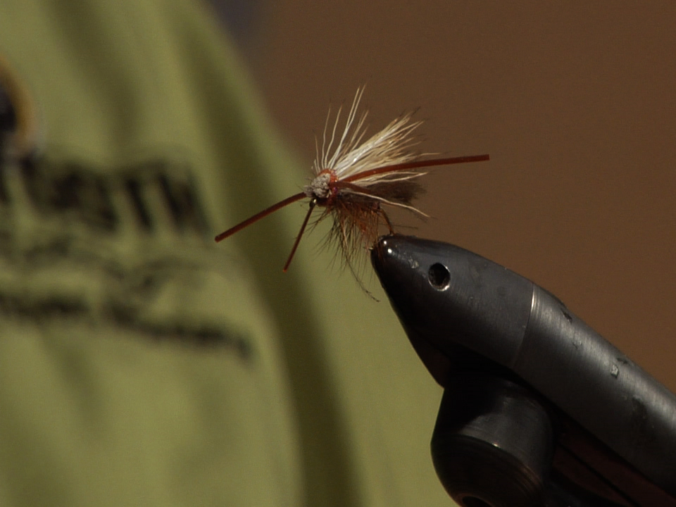 Dan Delekta: Delekable CDC Elk Hair Caddis