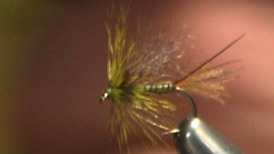 Howard Cole: Unusual Usual Flav Biot Emerger