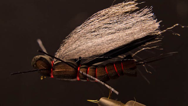 Doug McKnight: Sweetgrass Salmonfly