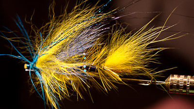 Pete Boll: Eumer Steelhead Killer