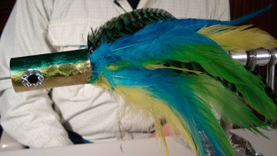 James Warren: Billfish Popper