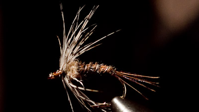 Matt Wilhelm: March Brown Emerger