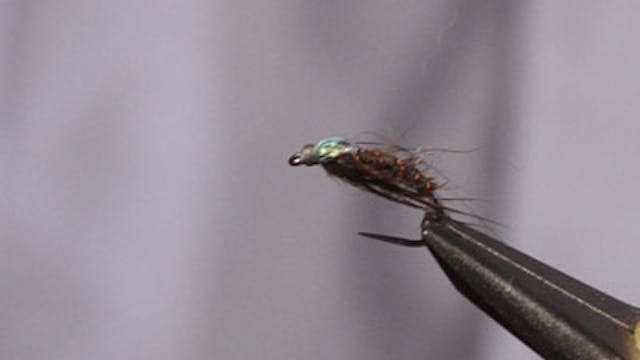 Jerry Criss: Possum Hair Nymph