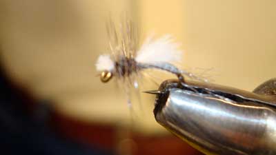 Wayne Luallen: Stuck Shuck Midge