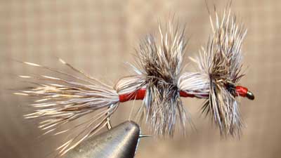 Boots Allen: Double Humpy