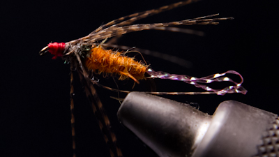 Dean Riner: Wilted Spinach