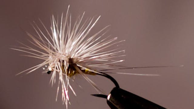 Jerry Criss: BWO Pullover