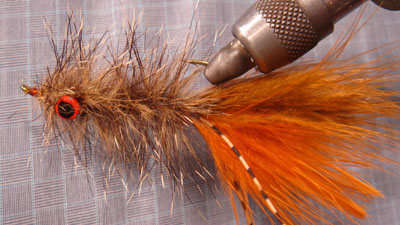 Doug McKnight: Sasquatch