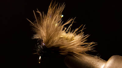 Willy Self: CDC Caddis Emerger