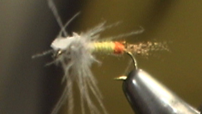 Howard Cole: Yellow Sally