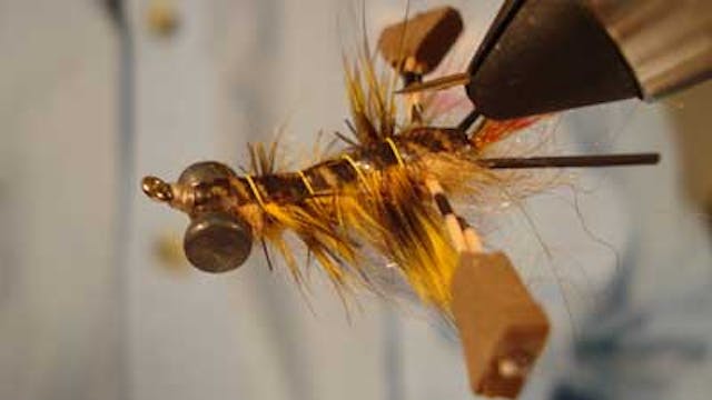The Weekly Fly: The Original Library