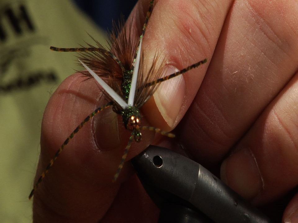 Dan Delekta: Delektable Mega Prince