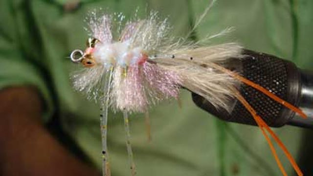 Tim Tollet: Sexy 60's Crab