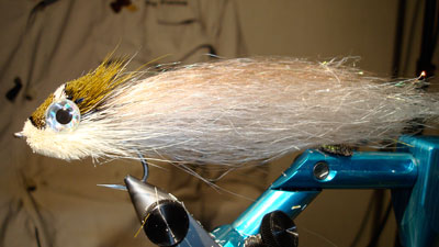 Steve Potter: Swimming Baitfish