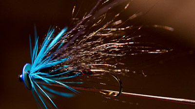 Pete Boll: Eumer Leech