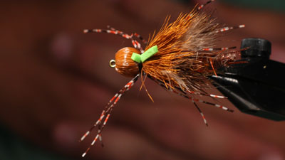 Clark "Cheech" Pierce: Petite Sirloin Stone