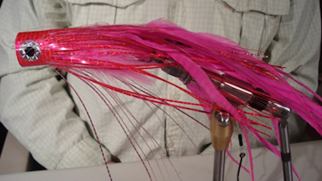 James Warren: Pink Sailfish Fly