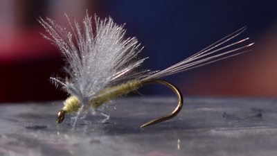 Ben Byng: AP Pontoon Dun