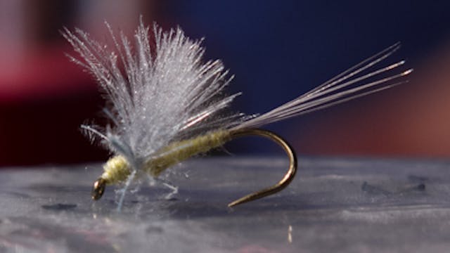 Ben Byng: AP Pontoon Dun