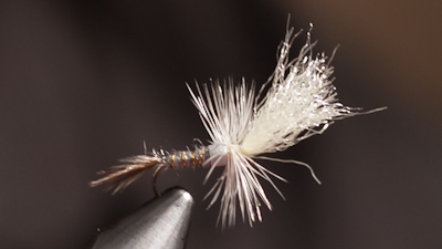 Boots Allen: Booty's PMD Emerger