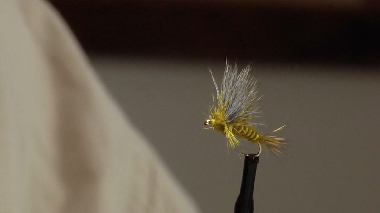 Bob Jacklin: Green Drake