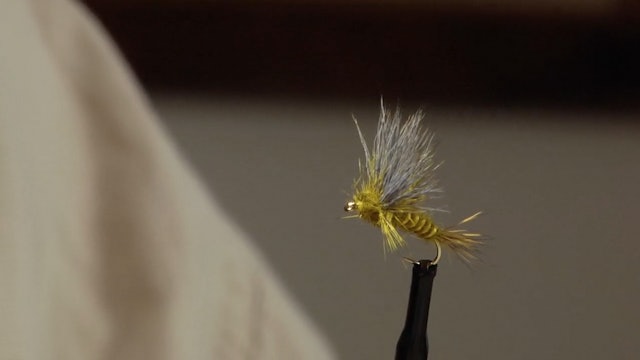 Bob Jacklin: Green Drake