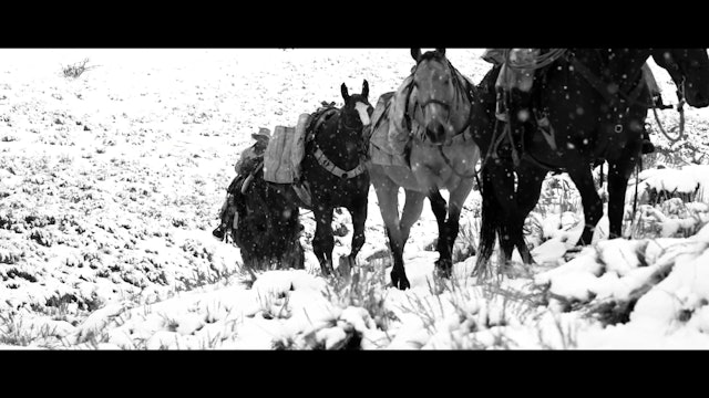 S7 | Elk Rodeo