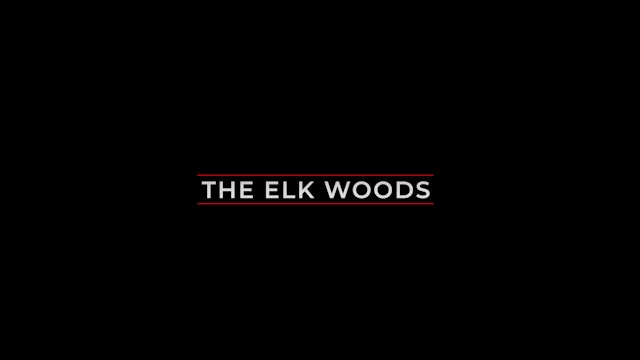 S8 I The Elk Woods - 2 Part