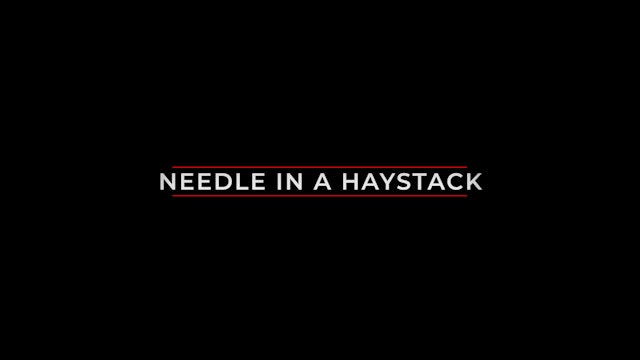 S8 I Needle In a Haystack