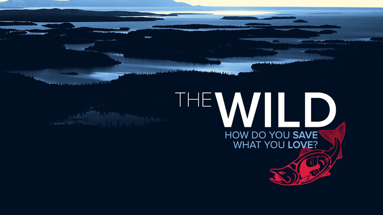 The Wild ~ How Do You Save What You Love?