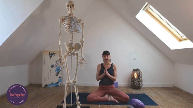 Introduction au Yoga Balles