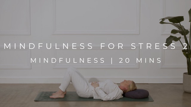 MINDFULNESS FOR STRESS 2 | MINDFULNESS (NEW)