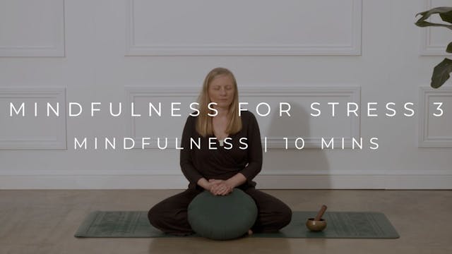 MINDFULNESS FOR STRESS 3 | MINDFULNES...