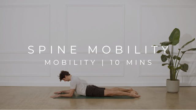 SPINE | MOBILITY 
