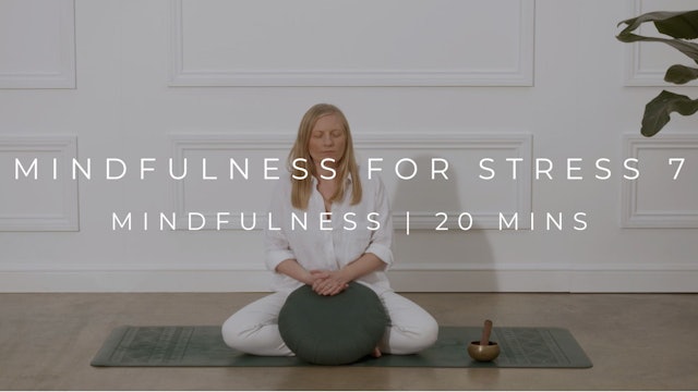 MINDFULNESS FOR STRESS 7 | MINDFULNESS (NEW)