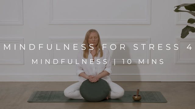 MINDFULNESS FOR STRESS 4 | MINDFULNES...