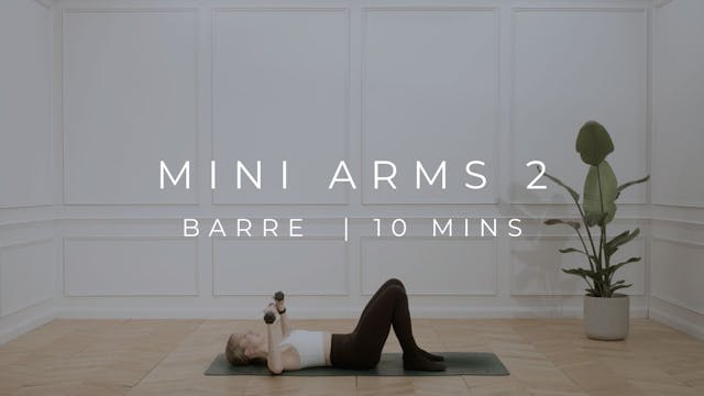 MINI ARMS 2 | BARRE